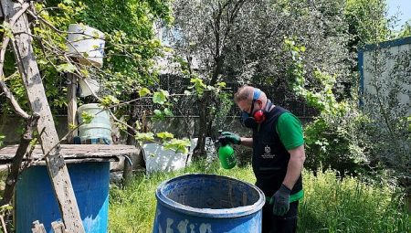 Büyükşehir, sivrisineksiz bir yaz için çalışıyor