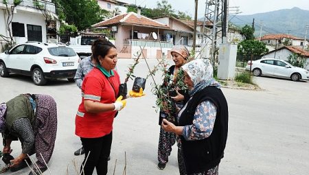 Karşıyaka Belediyesi’nden Sancaklı’da fidan dayanışması