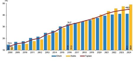 Ulusal Eğitim İstatistikleri, 2024