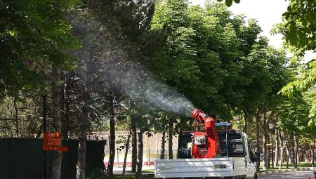 Çankaya Belediyesi’nden Yaz Aylarına Özel İlaçlama