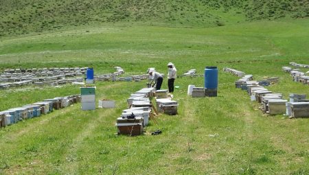 Bodrumlu arıcı, 5 yıldır Yüksekova’da bal hasadı yapıyor
