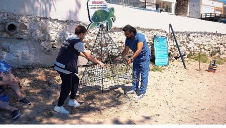 Didim Belediyesi, Tabiatın Eşsiz Mirasına Sahip Çıkıyor